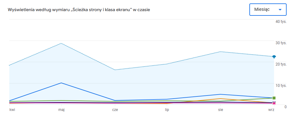 Statystyki odsłon serwisu e-tlumacze.net w 2025 r.